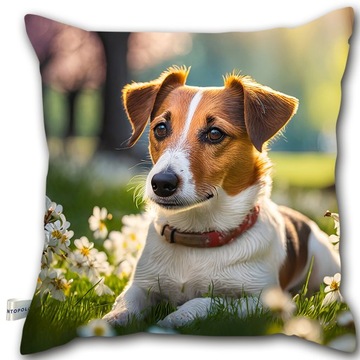 Poduszka dekoracyjna 40x40 / Poduszka z psem / Jack russell terrier