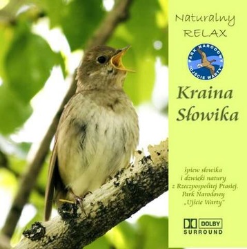KRAINA SŁOWIKA NATURALNY RELAKS PTAKI BEZ MUZYKI