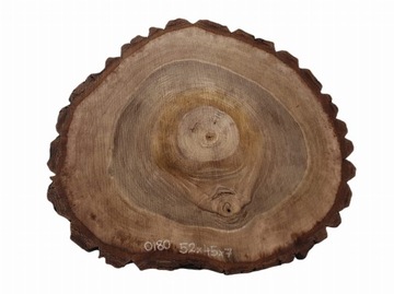 Plaster Orzecha Włoskiego 53x45cm Blat Stół Taca