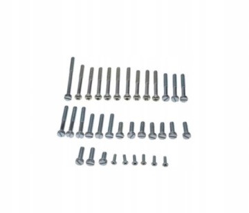 ŚRUBA SILNIKA SHL M11 kpl