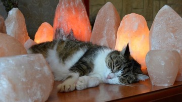 Lampa solna bryła jonizator 3-5kg sól Kłodawska