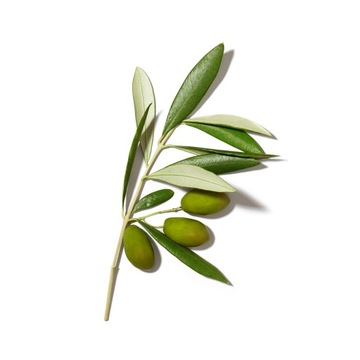 MUSTELA Layette Set + сумка для коляски КРАТКАЯ ДАТА: 11/2024