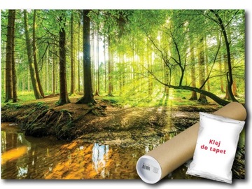 FOTOTAPETA WINYLOWA LAS SŁOŃCE WIDOK 520x318