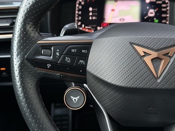 Cupra Formentor Crossover 2.0 TSI 310KM 2022 Cupra Formentor 2.0TSI 310KM 4Drive VZ DSG l Beats, zdjęcie 17