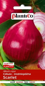 Cebula Scarlet 5g Nasiona PlantiCo