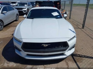 Ford Mustang VI 2024 Ford Mustang Ecoboost Premium Fastback, 2024r., 2.3L 2.3 Benzyna 319KM, zdjęcie 4