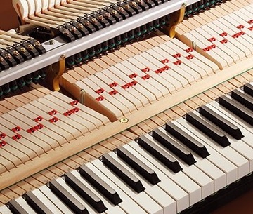 Мастер-пианино KAWAI SK-7 229 см