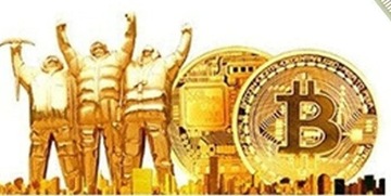 Riser rev 009S Gold USB 3.0 PCI-E 1x-16x 6PIN SATA