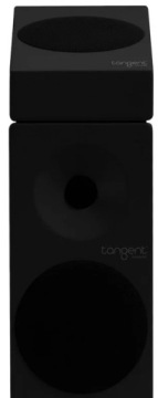 ЭФФЕКТИВНЫЕ ДИНАМИКИ ОКРУЖАЮЩЕГО РАБОТЫ DOLBY ATMOS TANGENT SPECTRUM XATM