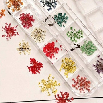 Высушенные цветы на ногтях украшения гибридные искусственные цветы кассета