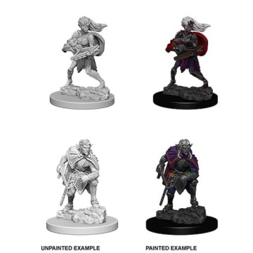 DnD Nolzur's Marvelous Miniatures: Drow