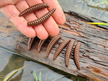 8 szt. Larwa Salo 45 mm 1,7 g killer na Pstrągi Trout Area zapach ser #117