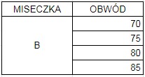 Biustonosz PUSH-UP Powiększający Unoszący Hn&Bn 80B KORONKOWY Granatowy