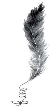 PIÓRA PIÓRKA TATUAŻ Wodny NAKLEJKA Wodna M33