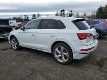 Audi Q5 II 2021 Audi Q5 2021r, Premium Plus, od ubezpieczalni 2.0 Benzyna 261KM, zdjęcie 2
