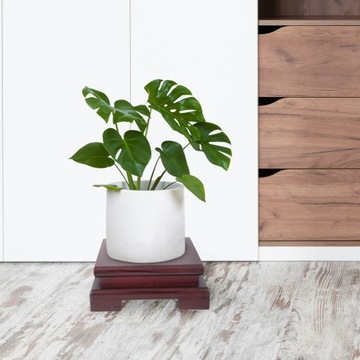 ДЕРЕВЯННАЯ ОСНОВА ДЕРЕВЯННАЯ ПОДДЕРЖКА ЗАВОДОВ