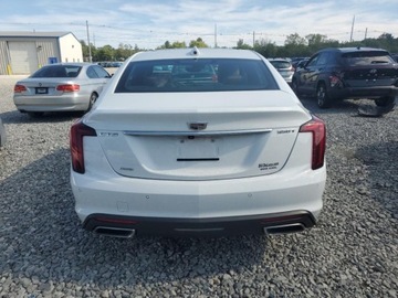 Cadillac 2023 Cadillac CT5 Luxury 2023 2.0l 2.0 Benzyna 237KM, zdjęcie 2
