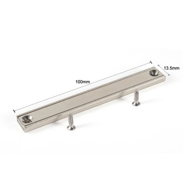 Styl o długości 100 mm Magnes Neodymowy Prostokątny 40-L