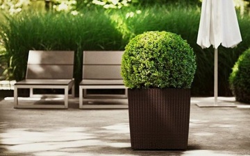 DUŻA DONICZKA DONICA ZEWNĘTRZNA RATTANOWA antracyt Z WKŁADEM OSŁONKA TARAS