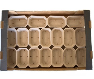 Контейнеры для фруктов P200 Delight 1260 шт. 200 г.