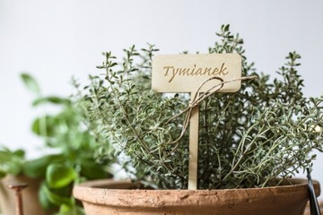 Тег Тег Сад Тег Сад Ваш текст