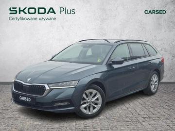 Skoda Octavia 2021 Skoda Octavia IV 2.0 TDI 150 KM SCR Ambition DSG S