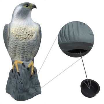 БОЛЬШОЙ ОТПУСКАТЕЛЬ ПТИЦ, ГОЛУБИ, ПОПУСКИ, СОКОЛ на скале, ЭФФЕКТ БЛЕСТЯЩИХ ГЛАЗ