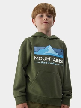 СВИТШОТ С КАПЮШОНОМ 4F ДЛЯ МАЛЬЧИКОВ AW23M634