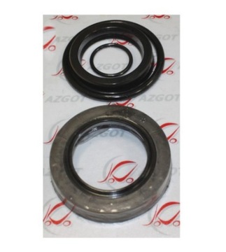 KOMPLET SIŁOWNIKA PODNOSZENIA RAK NISKI MASZT