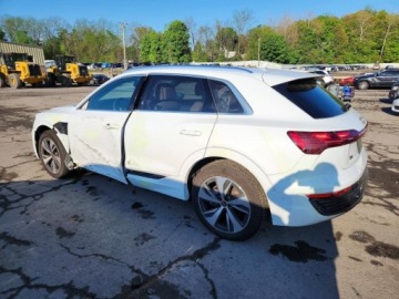 Audi Q8 2024 Audi Q8 e-tron Premium Plus 2024 Elektryczny 402KM, zdjęcie 1