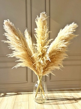 СТЕКЛЯННАЯ БУТЫЛКА-ВАЗА ДЛЯ ПАМПАССНЫХ ЦВЕТОВ