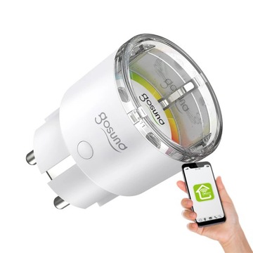 Gosund EP2 2500Вт 10А ТУЯ