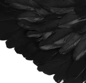 ЧЕРНОЕ ПЕРО КРЫЛЬЯ АНГЕЛ ДЬЯВОЛ ХЭЛЛОУИН