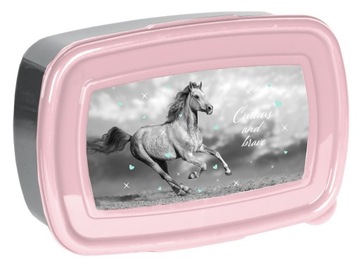 Сумка школьная для девочек 1-3 классов.