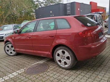 Audi A3 8P Hatchback 3d 1.6 FSI 115KM 2007 Audi A3 Sportback 1.6 benzyna CLIMATRONIC PIEKNY kolor bez rdzy 1.6 115KM, zdjęcie 10