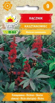 Rącznik Kasztanowiec Czerwony nasiona rącznika 8szt. Toraf jednoroczny