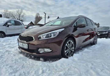 Kia Ceed II Kombi 1.6 GDI 135KM 2014 Kia Ceed 1,6 135 KM Business Line Zarejestrowany w PL 1.6 Benzyna, zdjęcie 20