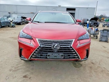 Lexus NX II 2021 Lexus NX 2021 Lexus NX 300 BASE 2.0 Benzyna 235KM, zdjęcie 4