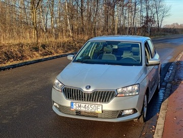 Skoda Fabia III Hatchback Facelifting 1.0 TSI 95KM 2018 Škoda Fabia Skoda Fabia krajowa *ładny stan*, zdjęcie 18
