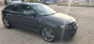 Audi A3 8P Hatchback 3d 2.0 TDI PD 140KM 2003 AUDI A3 Sportback 2.0 TDI 140 KM, skóra, klimatronic, alufelgi, elektryka, zdjęcie 21