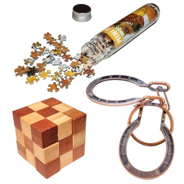 LOGIC SET łamiglówki prezent dla nastolatka słoneczniki 3d puzzle podkowy