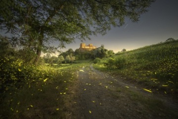 Venus Laowa C&D-Dreamer 14mm f4.0 Canon EF