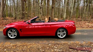 BMW Seria 4 F32-33-36 Cabrio 440i 326KM 2017 BMW Seria 4 440i Kabriolet head up 40 tys km jedyna w takim kolorze zamia, zdjęcie 20