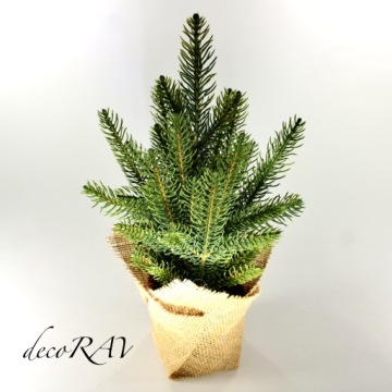 Рождественская елка в виде живой ели Коника PE 100% джутовый горшок