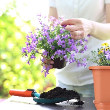 PODSTAWKA POD DONICZKĘ DONICĘ 80cm TERAKOTA