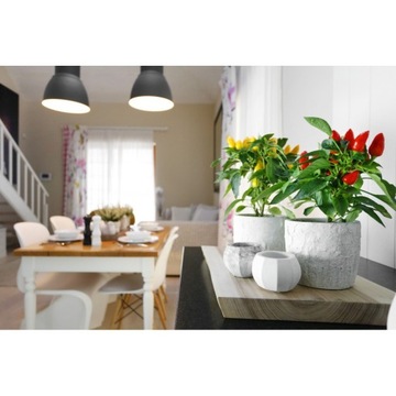 Бетонный горшок 19x16 см - архитектурный бетон