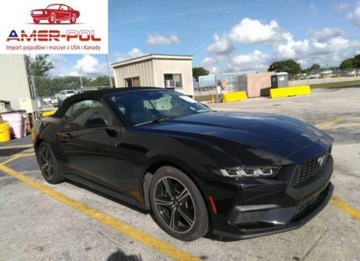 Ford Mustang VI 2024 Ford Mustang Ecoboost Premium 2024 2.3l 2.3 Benzyna 315KM