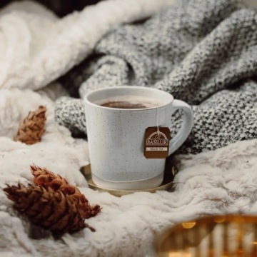 Basilur WINTER TEA черный клюквенный зимний экспресс-чай - 25 х 2 г