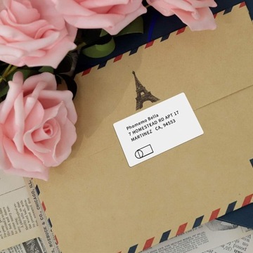 Etykiety samoprzylepne naklejki termiczne Niimbot B1 B21 B3S B31 50x70