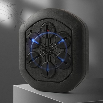 Тренировочный диск для парного бокса без перчаток.